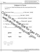 irregular plural nouns worksheet