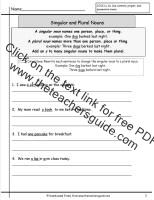 singular and plural nouns worksheet